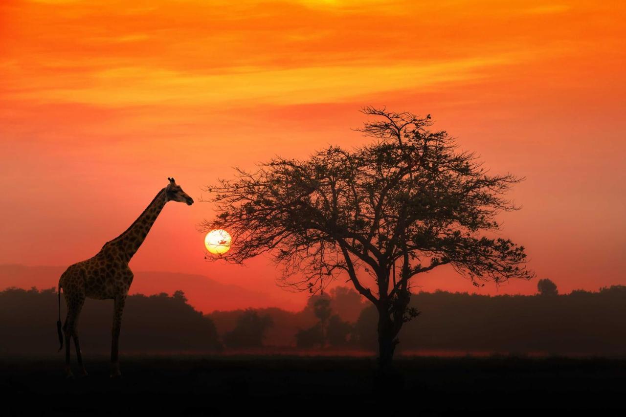 Manzini Chalets เซนต์ลูเซีย ภายนอก รูปภาพ