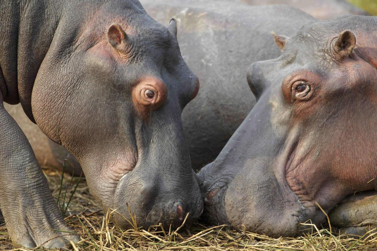 Manzini Chalets เซนต์ลูเซีย ภายนอก รูปภาพ
